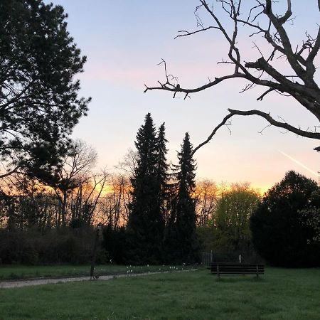 Ferienwohnung Apartment Doppelzimmer In Der Villa Naturpark Rheinblick, Ruhig, Aussicht, Pool コブレンツ エクステリア 写真