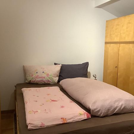 Ferienwohnung Apartment Doppelzimmer In Der Villa Naturpark Rheinblick, Ruhig, Aussicht, Pool コブレンツ エクステリア 写真