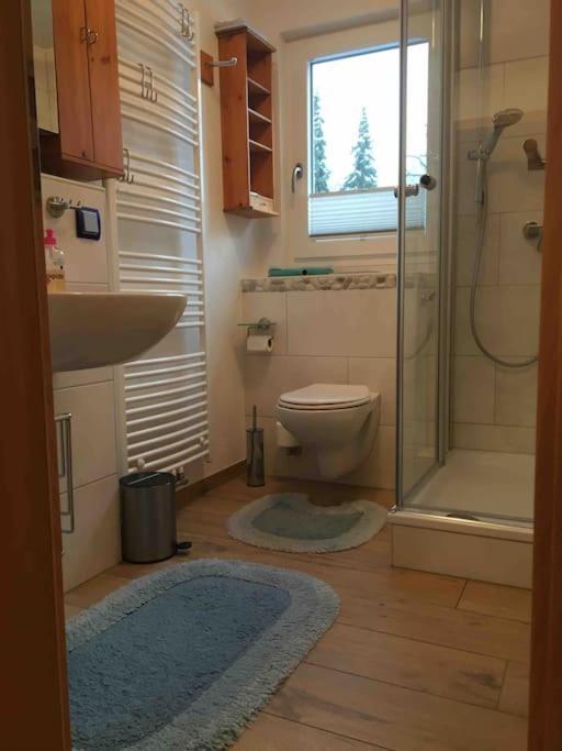 Ferienwohnung Apartment Doppelzimmer In Der Villa Naturpark Rheinblick, Ruhig, Aussicht, Pool コブレンツ エクステリア 写真
