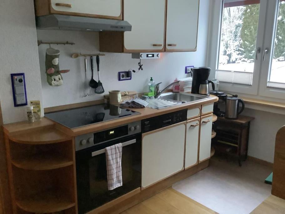 Ferienwohnung Apartment Doppelzimmer In Der Villa Naturpark Rheinblick, Ruhig, Aussicht, Pool コブレンツ エクステリア 写真