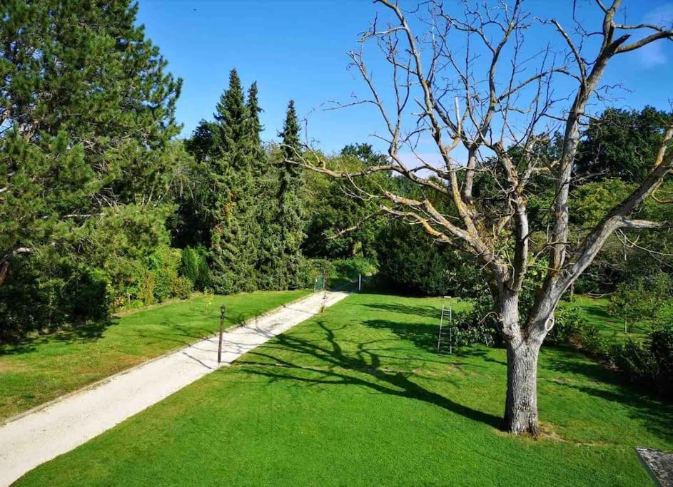 Ferienwohnung Apartment Doppelzimmer In Der Villa Naturpark Rheinblick, Ruhig, Aussicht, Pool コブレンツ エクステリア 写真