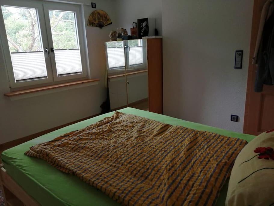 Ferienwohnung Apartment Doppelzimmer In Der Villa Naturpark Rheinblick, Ruhig, Aussicht, Pool コブレンツ エクステリア 写真