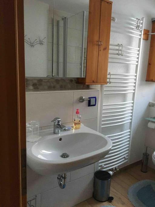 Ferienwohnung Apartment Doppelzimmer In Der Villa Naturpark Rheinblick, Ruhig, Aussicht, Pool コブレンツ エクステリア 写真