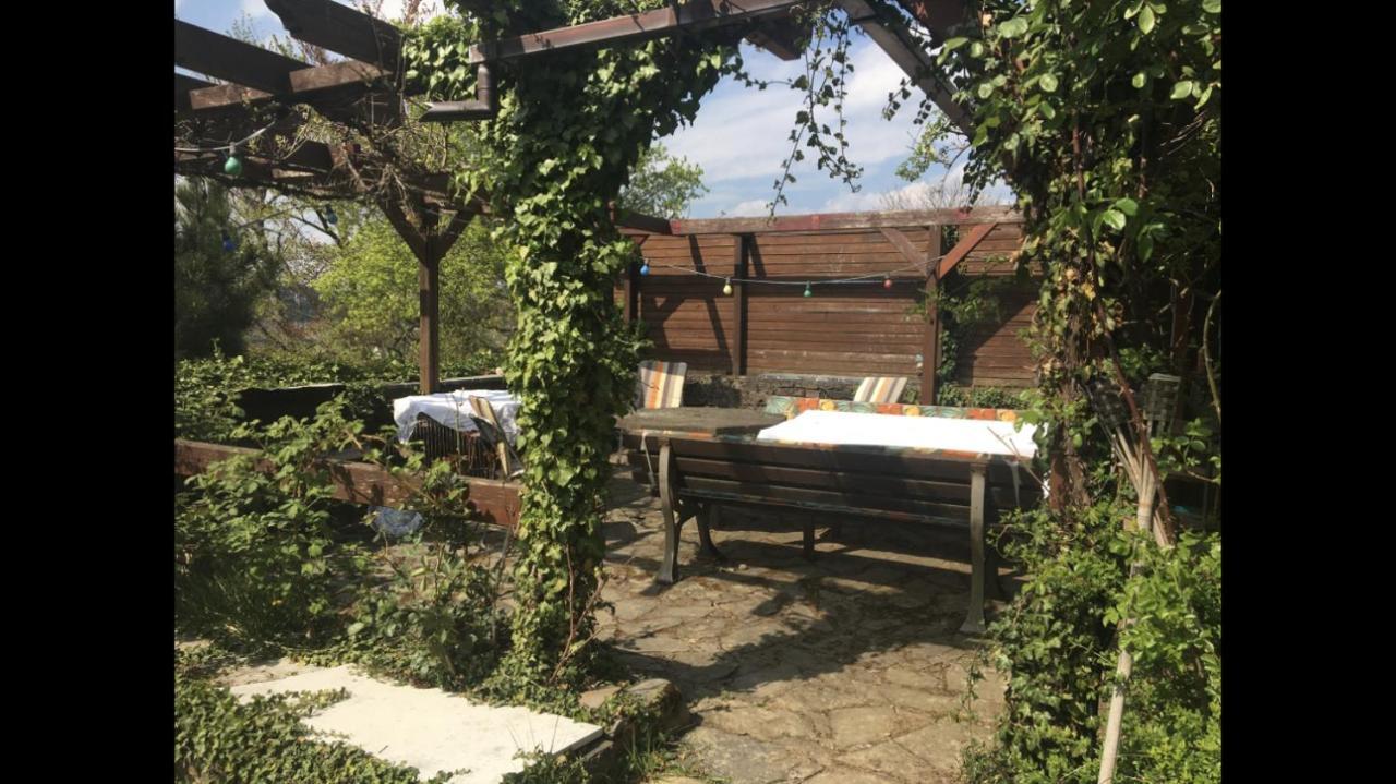Ferienwohnung Apartment Doppelzimmer In Der Villa Naturpark Rheinblick, Ruhig, Aussicht, Pool コブレンツ エクステリア 写真